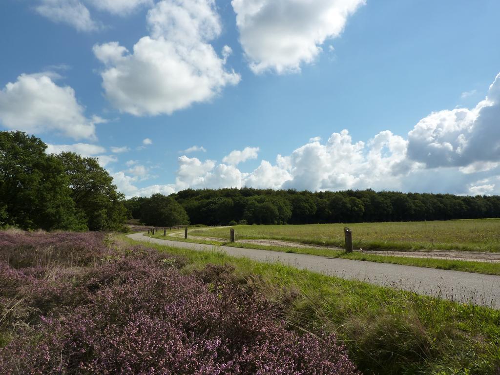 Wapen Van Exloo Camera foto
