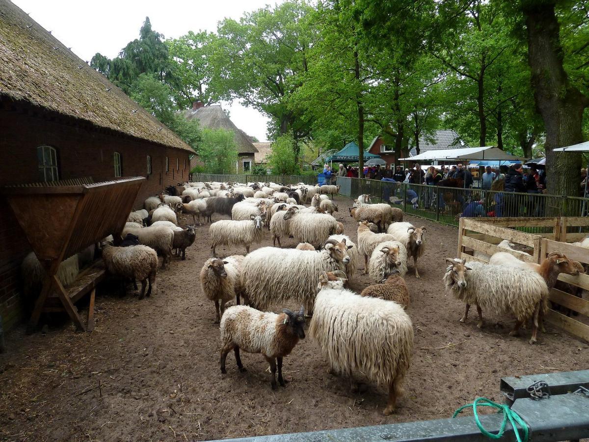 Wapen Van Exloo Esterno foto